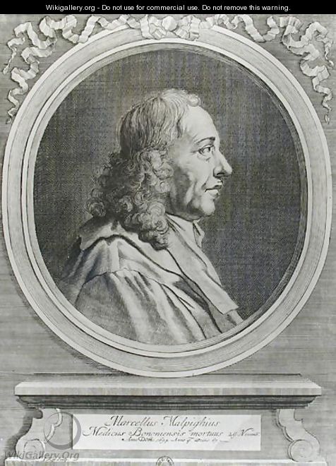 Marcello Malpighi 1628-94 - Johannes Kip