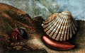 Cardum Rusticum and Pagurus Bernhardi in a Periwinkle Shell - Charles Kingsley