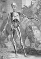 A Skeleton - (after) Knapton, John and Paul