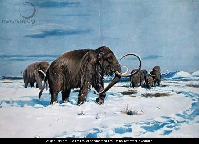 Troop of mammoths in the Ice Age - (after) Kuhnert, Wilhelm