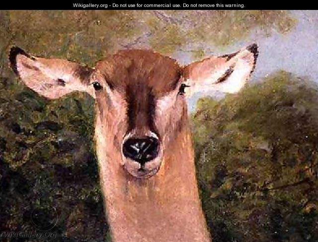 Head of an Antelope - Wilhelm Kuhnert