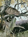 Wildcat in a Tree - Wilhelm Kuhnert