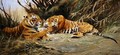 Siberian Tigers - Wilhelm Kuhnert