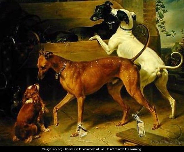 Krugers Dogs - Franz Kruger