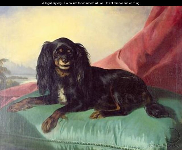 A King Charles Spaniel on a Green Cushion - Ferdinand Krumholz