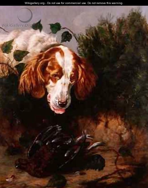 Just Shot Spaniel with a Dead Grouse - Colin Graeme
