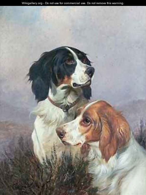 Setters on a Moor - Colin Graeme