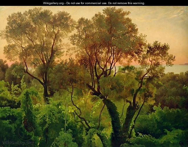Slope with Olive Trees - Louis Gurlitt