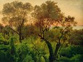 Slope with Olive Trees - Louis Gurlitt