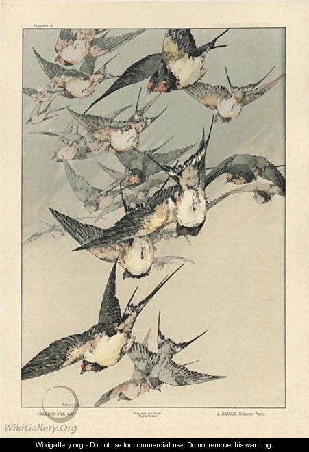 Birds plate 5 from Fantaisies decoratives - (after) Habert-Dys, Jules-Auguste