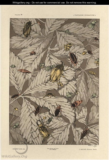 Beetles plate 38 from Fantaisies decoratives - (after) Habert-Dys, Jules-Auguste