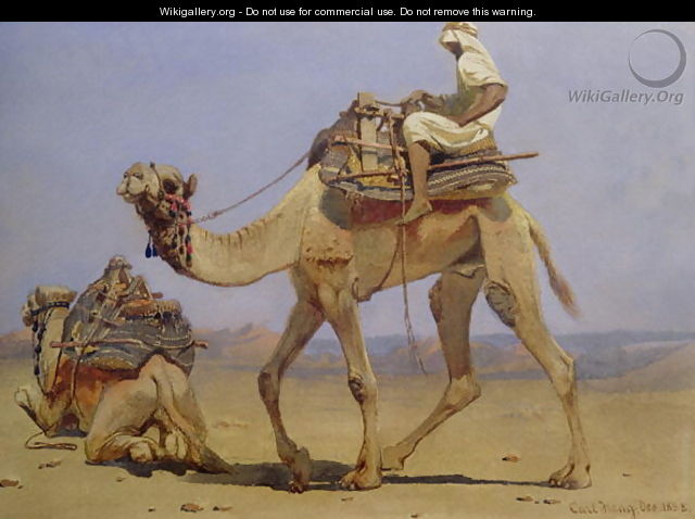 Camel Preparing to Lie Down - Carl Haag