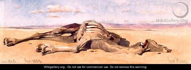 A Dead Camel - Carl Haag