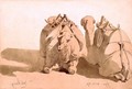 Study of camels - Carl Haag