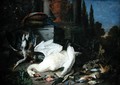 Still Life with Dead Birds - Pieter Gysels