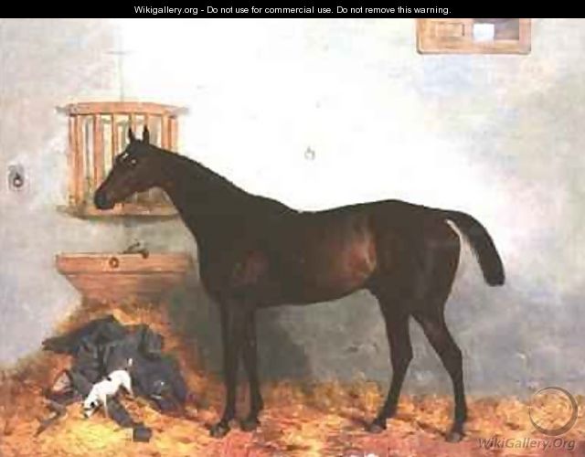 Thoroughbred in a Stable - Harry Hall