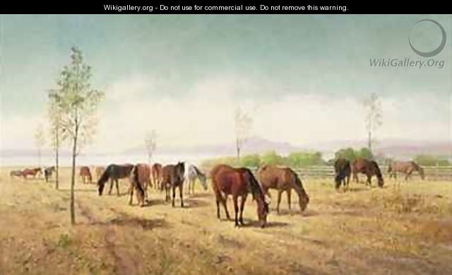 Horses Grazing Berkeley - William Hahn