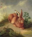 Hare - Johann Gottlieb Hackert