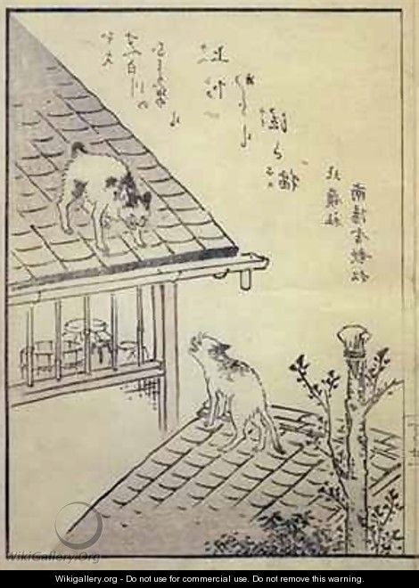 Two Cats on Roofs - M. Hanzan