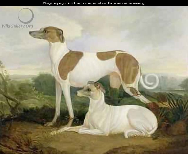 Two Greyhounds in a Landscape - Charles Hancock