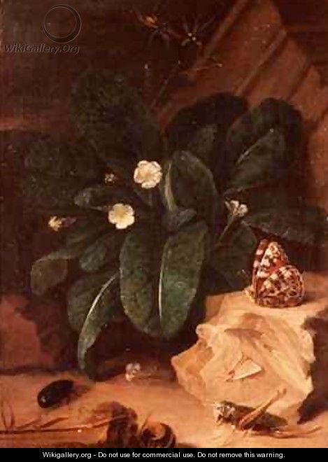 Still Life with Primroses and Insects - Carl Wilhelm de Hamilton