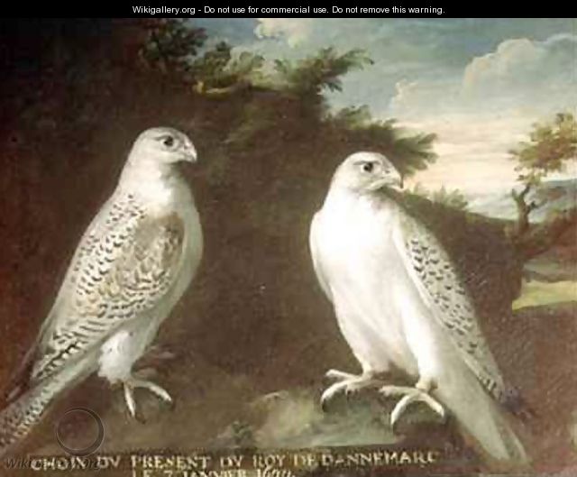 Pair of Gyrfalcons in a Landscape - Ferdinand Phillip de Hamilton