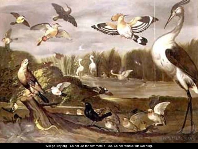 River landscape with a jay a stonechat a mallard a wagtail and other birds - Franz de Hamilton