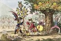 The New Dynasty or The Little Corsican Gardiner planting a Royal Pippin Tree - James Gillray