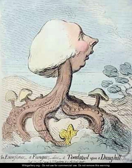 An Excrescence A Fungus Alias A Toadstool upon a Dung hill - James Gillray