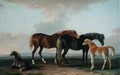 Mares and Foals 2 - Sawrey Gilpin