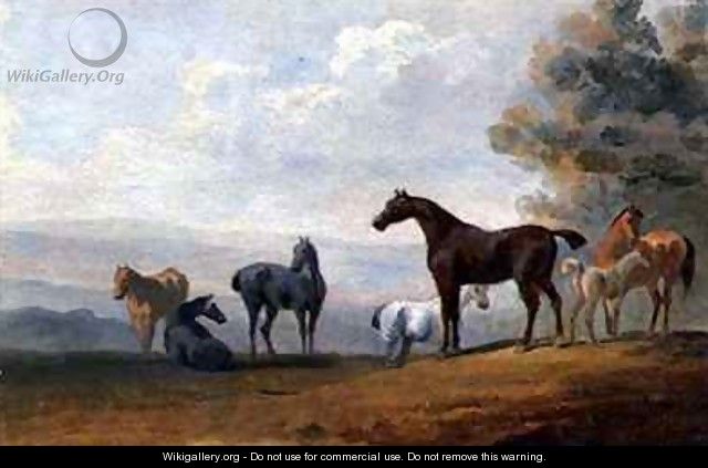 Horses - Sawrey Gilpin