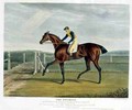 The Duchess the Winner of the Great St Leger at Doncaster - (after) Herring Snr, John Frederick
