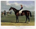 Don John the Winner of the Great St Leger Stakes at Doncaster - (after) Herring Snr, John Frederick