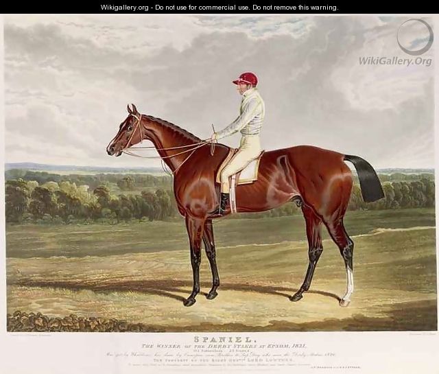Spaniel the Winner of the Derby Stakes at Epsom - (after) Herring Snr, John Frederick