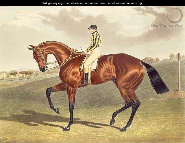 Bay Middleton winner of the Derby in 1836 - (after) Herring Snr, John Frederick