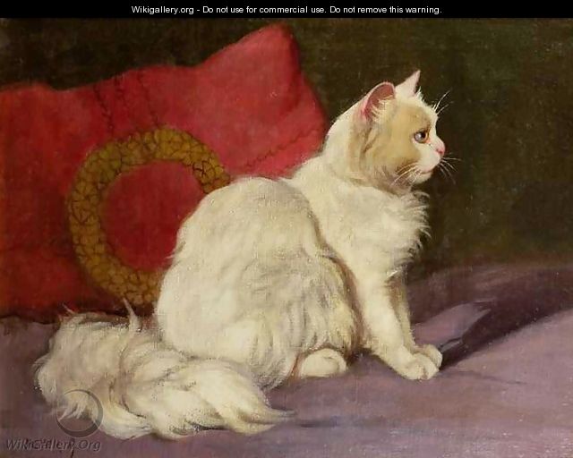 White Persian Cat - Arthur Heyer