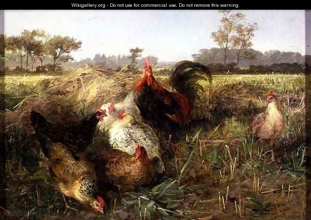 Fowls in the Stubble - George Hickin