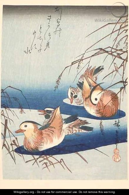 Two Pairs of Mandarin Ducks - Utagawa or Ando Hiroshige