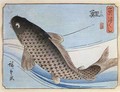 A Carp from Small Fishes Series - Utagawa or Ando Hiroshige