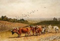 Oxen Ploughing a Downland Field - Robert Hills