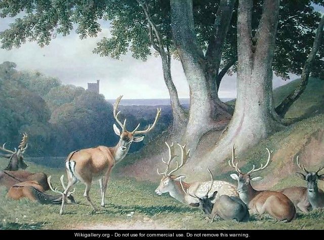 Landscape with Deer - Robert Hills
