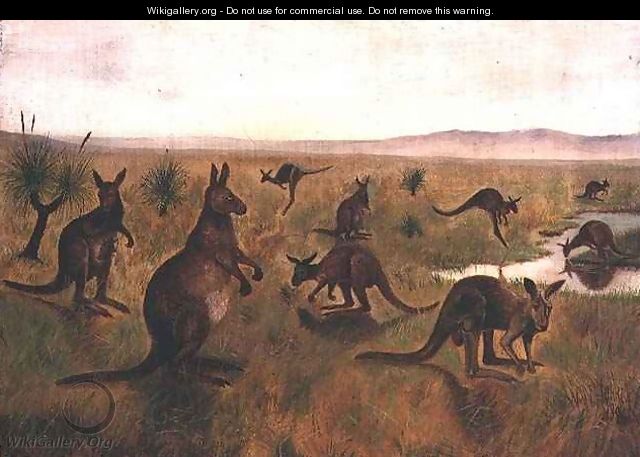 Kangaroos in Australian landscape - William Webster Hoare