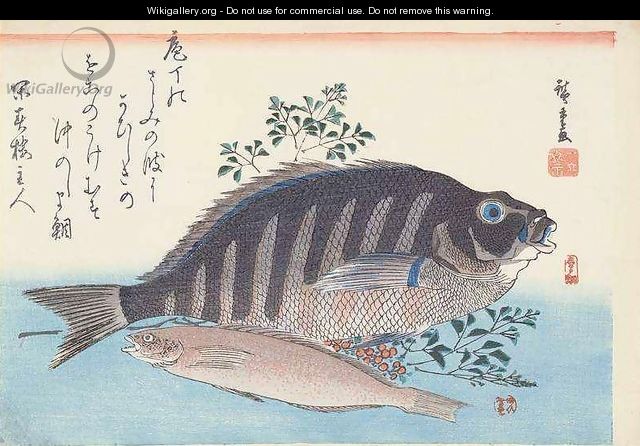 Shimadai and Ainame from the series The Large Fish Utagawa School - Utagawa or Ando Hiroshige