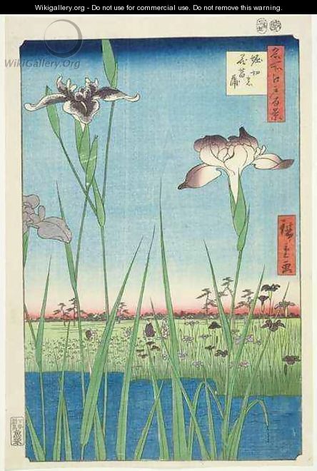 Irises at Horikin No 56 in the series 100 Views of Edo - Utagawa or Ando Hiroshige