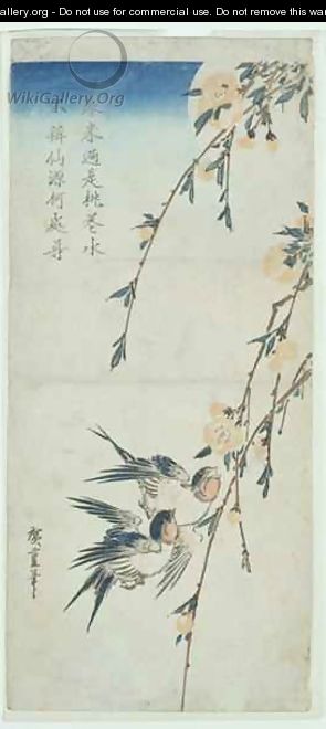 Swallows and Peach Blossom in Moonlight - Utagawa or Ando Hiroshige