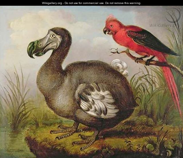 Dodo and Red Parakeet - William Hodges