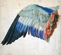 Wing of a Blue Roller - Hans Hoffmann