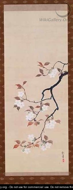Hanging Scroll Depicting Cherry Blossoms - Sakai Hoitsu
