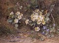 Primroses and Violets on a mossy bank - John Jessop Hardwick