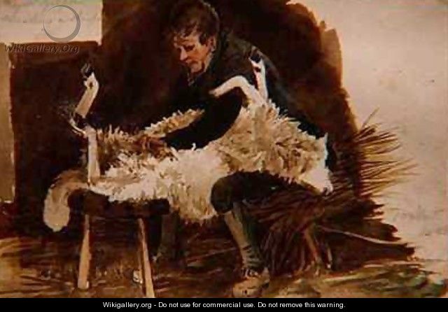 Major Gilpin Shearing a Sheep - John Harden